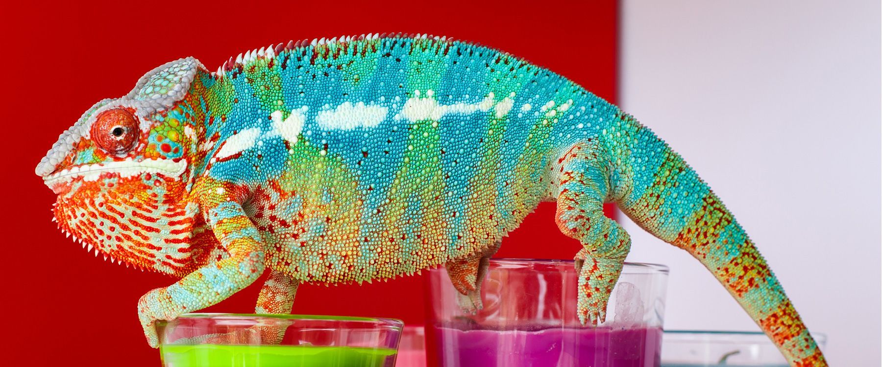 Drucksachen Das Satz & Druck Studio ist Ihre Druckerei für Werbemittel, Textildruck, Fahrzeugbeschriftung und vieles mehr.